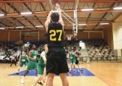 AIK - Luleå Steelers.  95-74