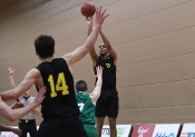 AIK - Luleå Steelers.  95-74