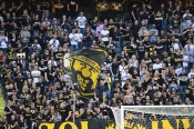 Publikbilder från AIK-Shamrock