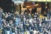 Publikbilder från AIK-Elfsborg