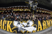 Publikbilder från AIK-Elfsborg